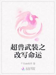 超兽武装续写