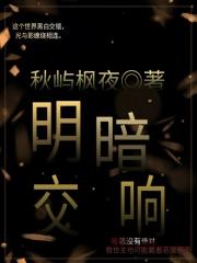 明暗交杂名词解释