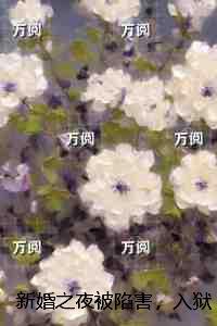 新婚之夜 知乎