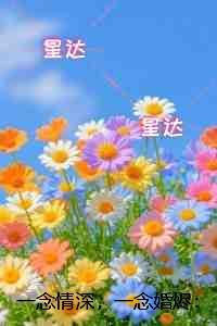 一念情深2
