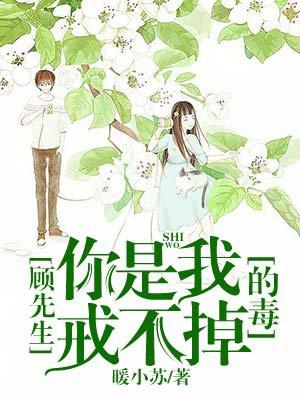 顾先生你是我戒不掉的毒