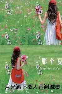 月光撒下的容颜什么歌